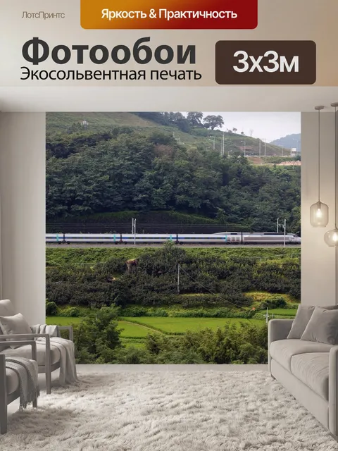 Фотообои Тренироваться