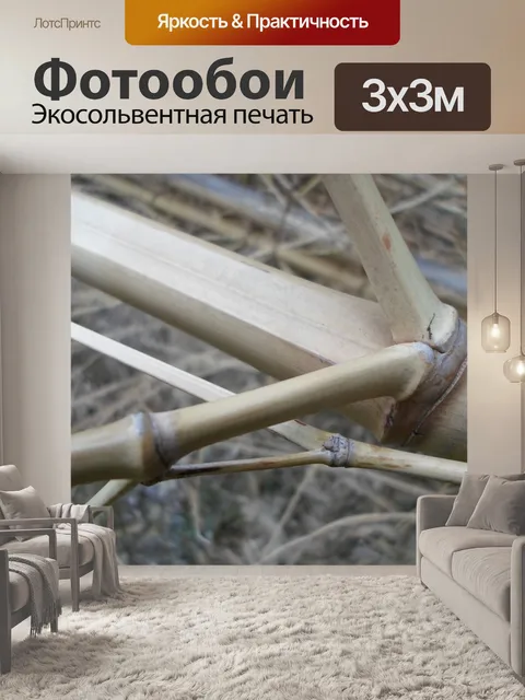 Фотообои Сухой бамбук соломенная 05