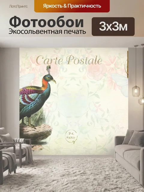 Фотообои Птица Экзотическая винтажная открытка