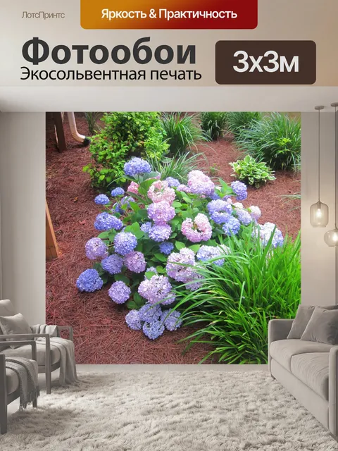 Фотообои Гортензии