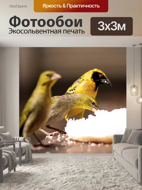Фотообои Наблюдение за птицами