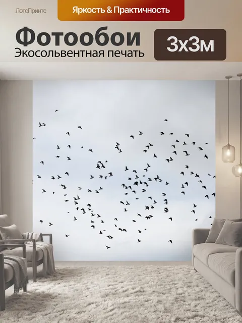 Фотообои Летающие птицы