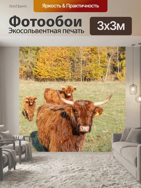 Фотообои Горный скот