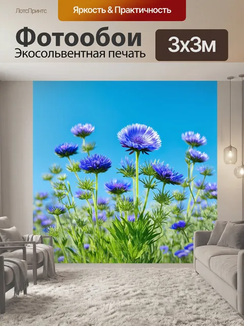 Фотообои цветы в стиле лоурен хэррис, композиция из васильков и полевых цветов на фоне ясного небесно-голубого цвета