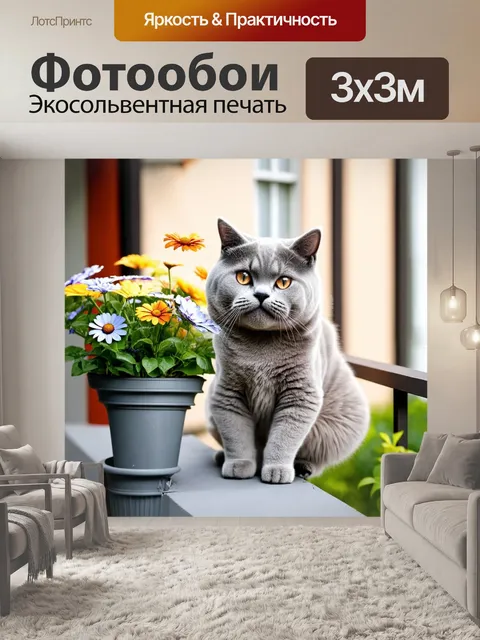Фотообои на балконе с цветами расположилась британская короткошерстная кошка