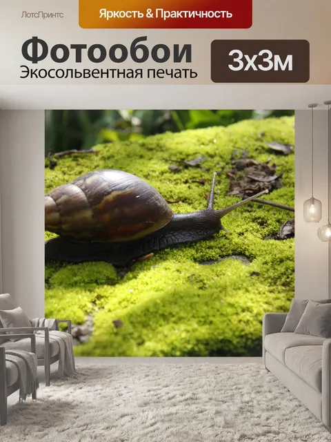 Фотообои Улитки