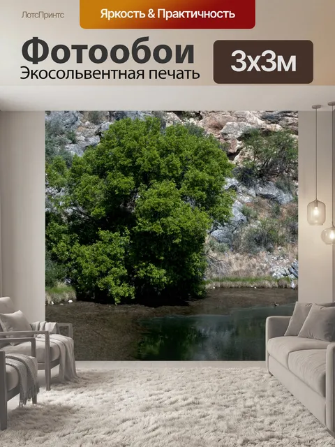 Фотообои Спокойный пруд