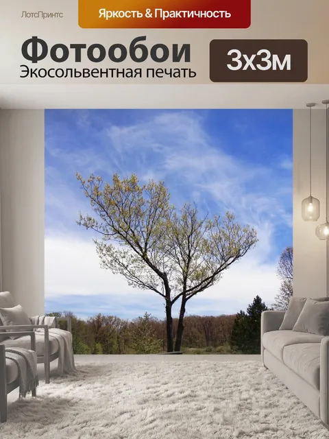 Фотообои Стол для пикника под деревом