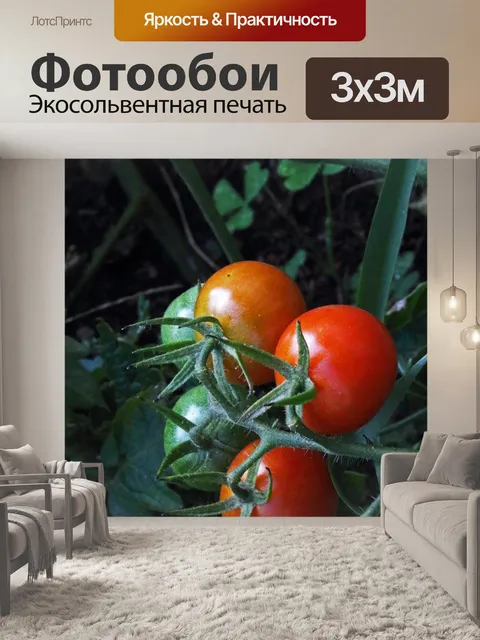 Фотообои гроздь коктейльных помидоров