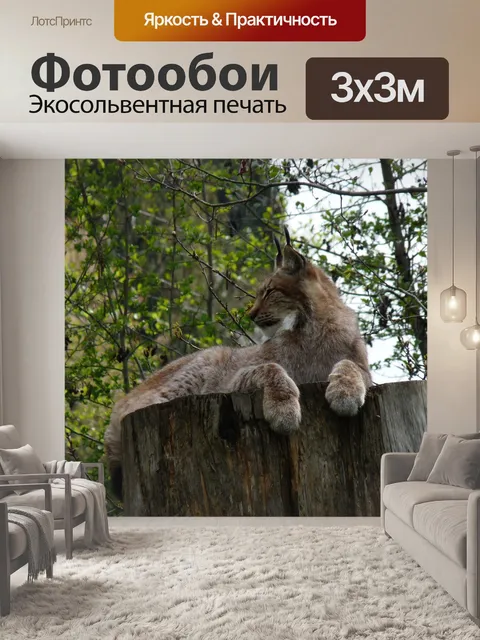 Фотообои Рысь