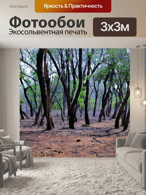 Фотообои Деревья и лес 11