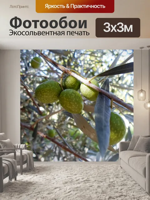 Фотообои Оливы