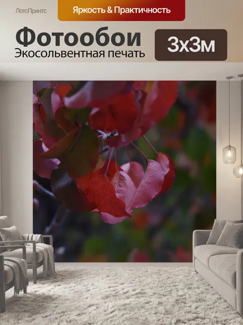 Фотообои Красные листья Висячие