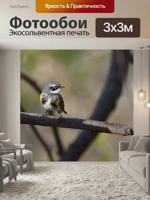 Фотообои Лесной певун