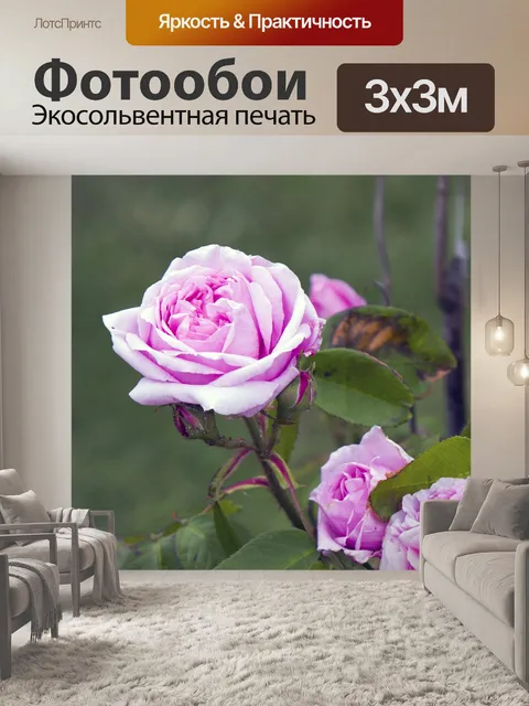 Фотообои Розовые розы