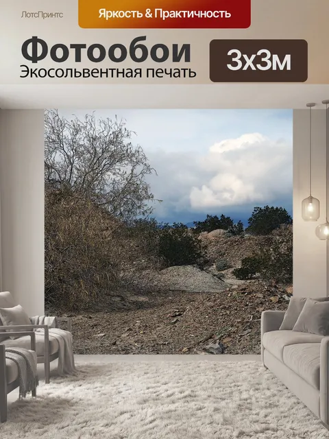Фотообои Пустыня Пейзаж