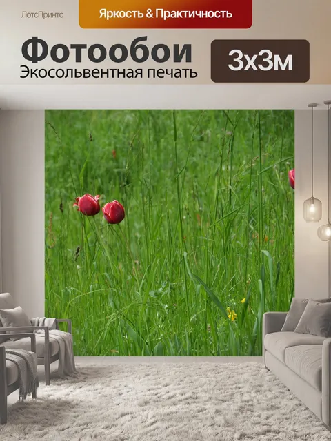 Фотообои Тюльпаны