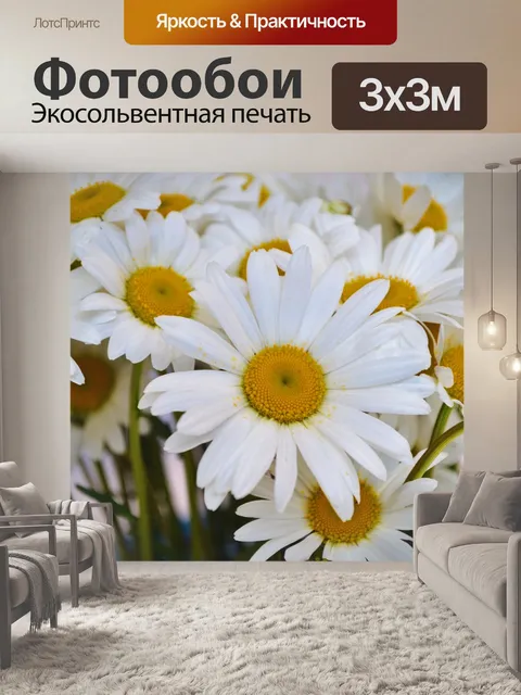 Фотообои Ромашки