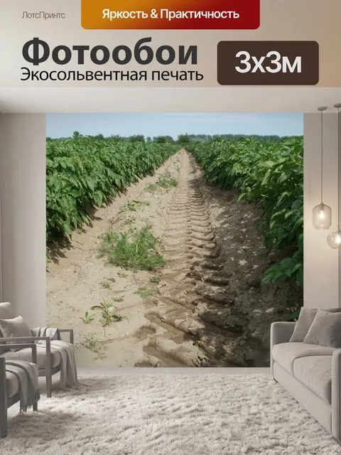 Фотообои Райлинген