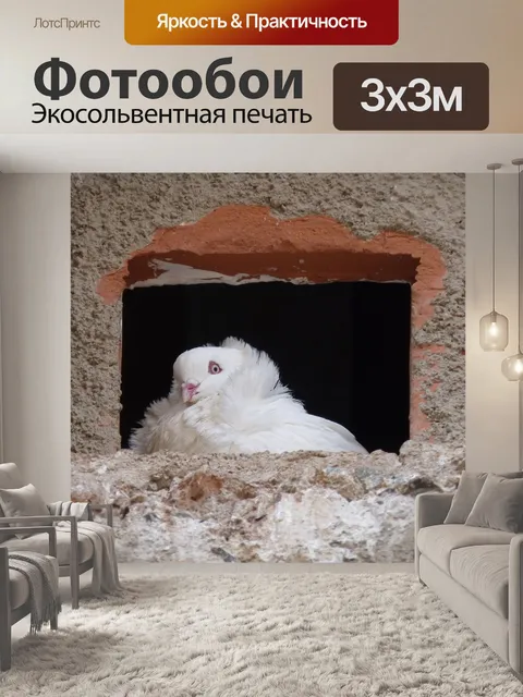 Фотообои Белый голубь