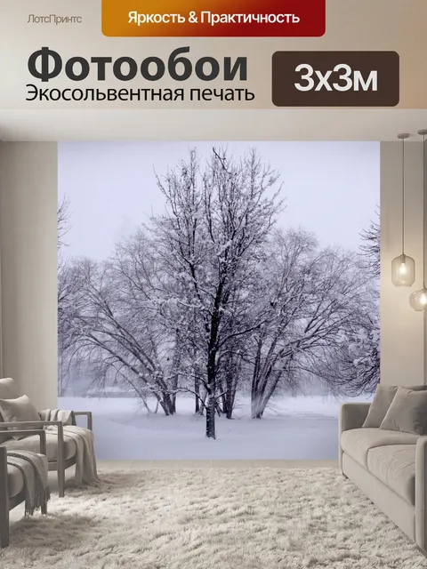Фотообои Зимние деревья