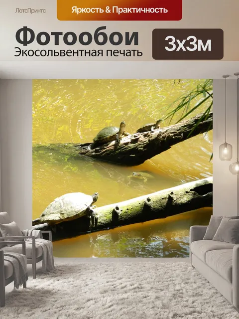 Фотообои Четыре Черепашки