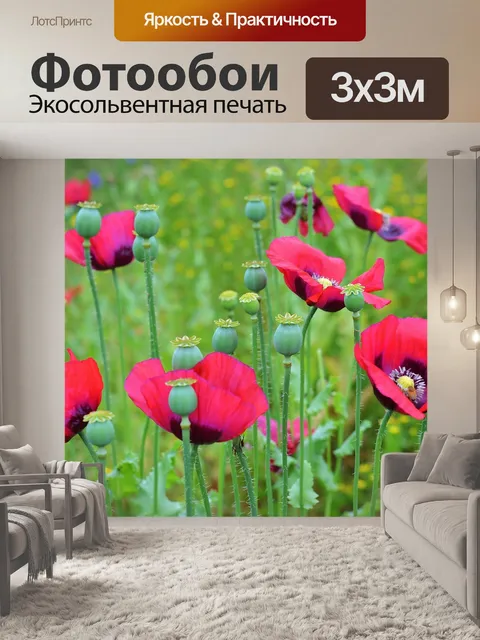 Фотообои Маки