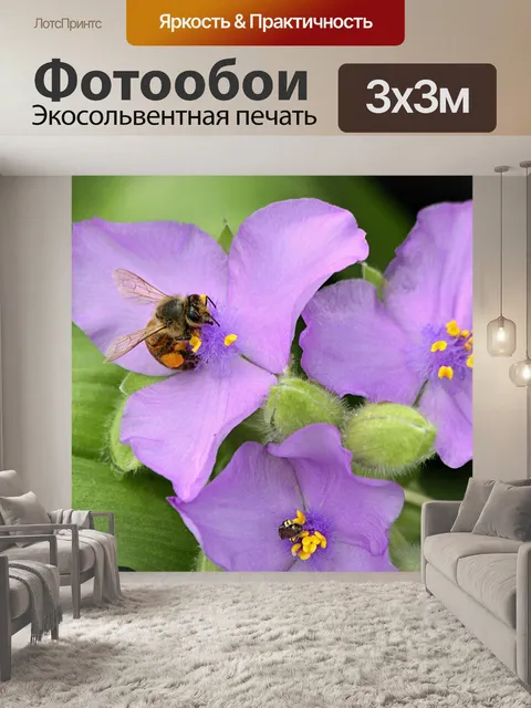 Фотообои Медовая пчела на фиолетовом курорте
