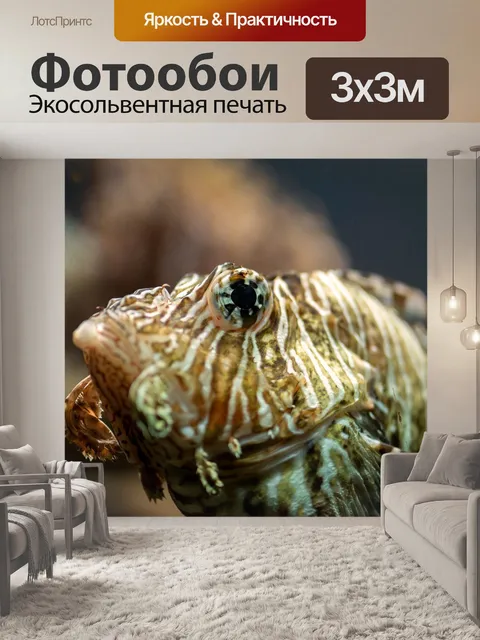 Фотообои Рыба