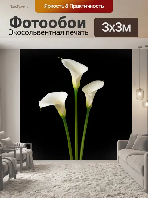 Фотообои Белые каллы на черном фоне