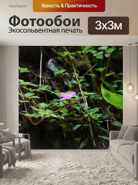 Фотообои Крошечный пурпурный цветок