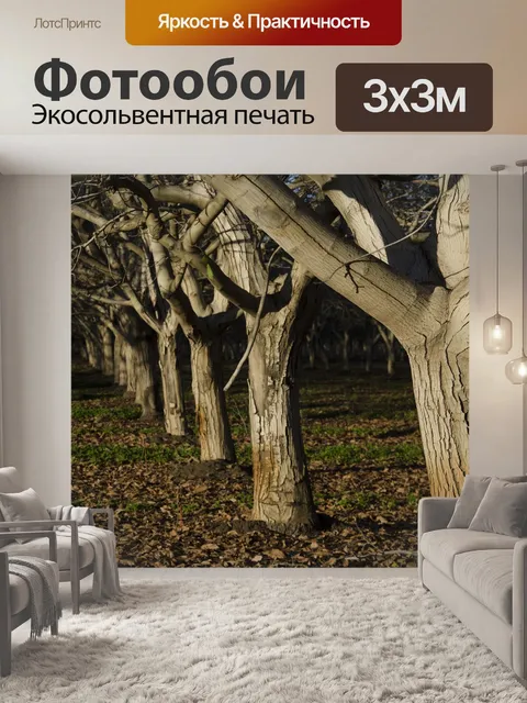 Фотообои Фруктовый сад