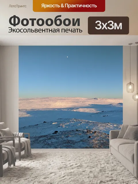 Фотообои Арктический
