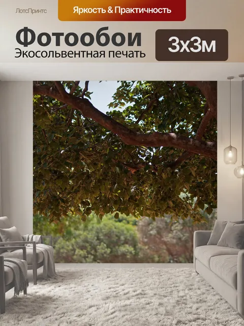 Фотообои Дерево с густой листвой