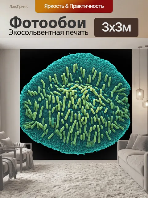 Фотообои vibrio cholerae в электронном микроскопе
