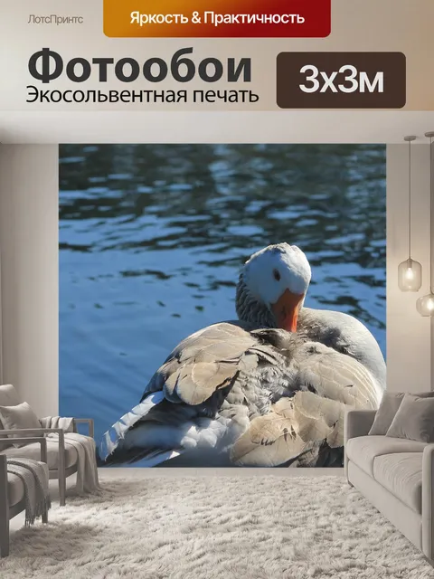 Фотообои Гусь
