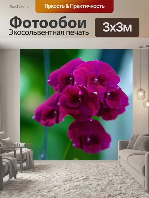 Фотообои Цветы