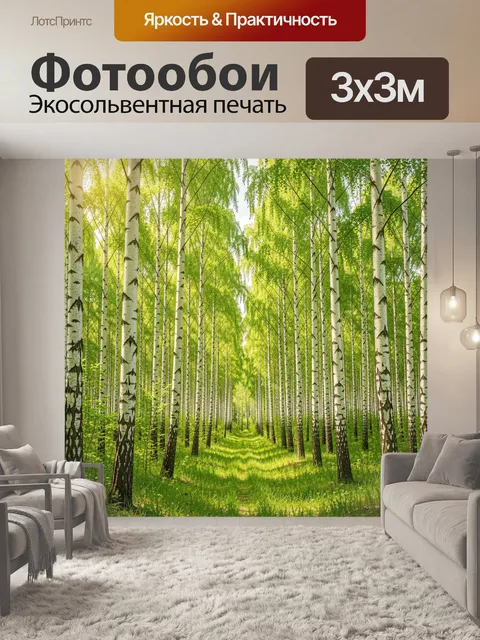 Фотообои Берёзовая аллея в солнечном лесу