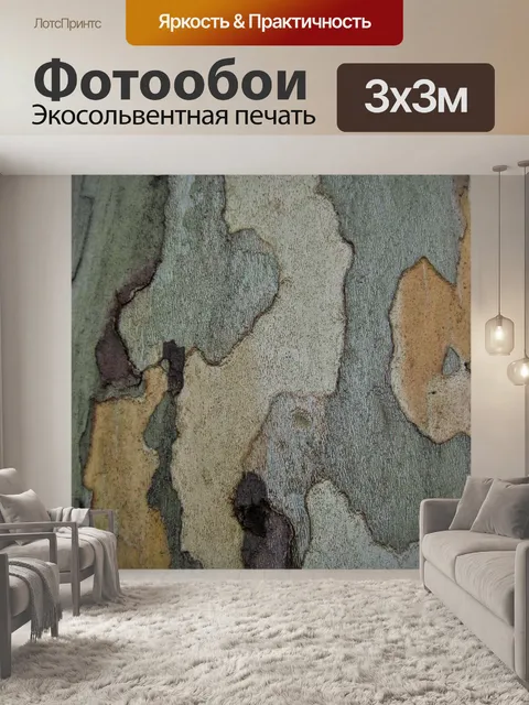 Фотообои Кора платана