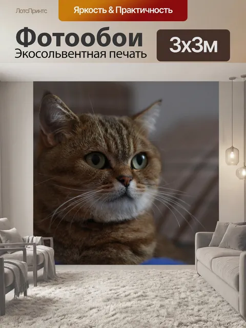 Фотообои Кошка