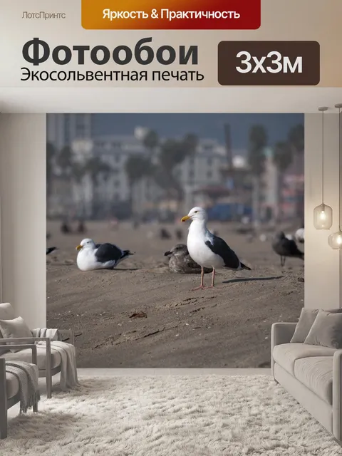 Фотообои Seagulls