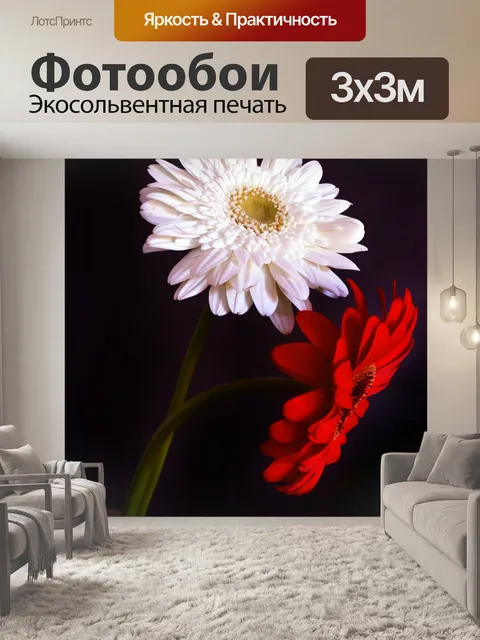 Фотообои Гербера ромашка 13