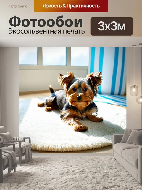 Фотообои симпатичный йоркширский терьер, лежащий на белом круглом коврике