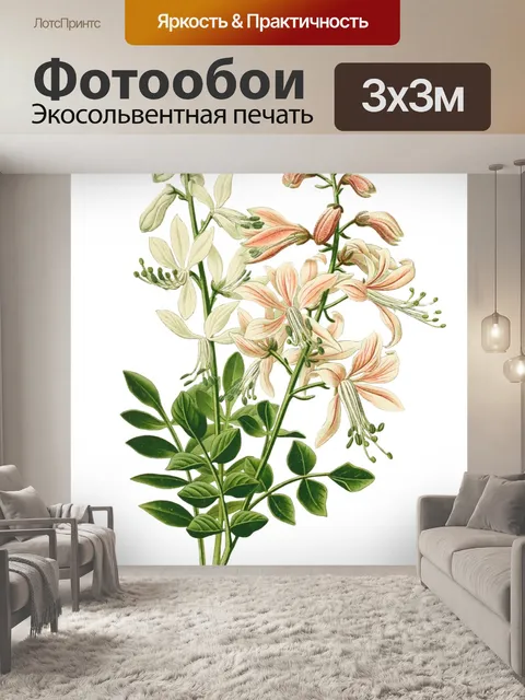 Фотообои Винтажные иллюстрации искусства цветы