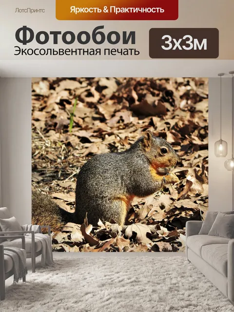 Фотообои Белка лисы в листьях