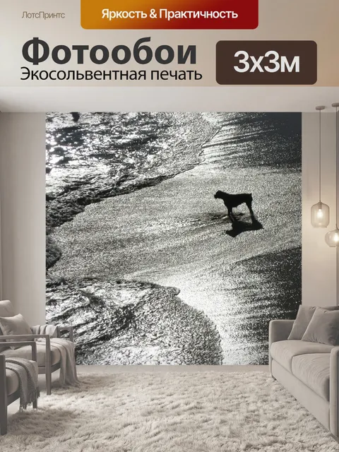 Фотообои Собака