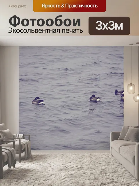 Фотообои Дикие гуси на воде