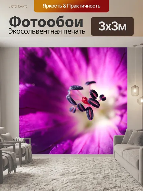 Фотообои Цветок