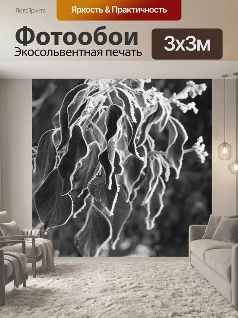 Фотообои Природа
