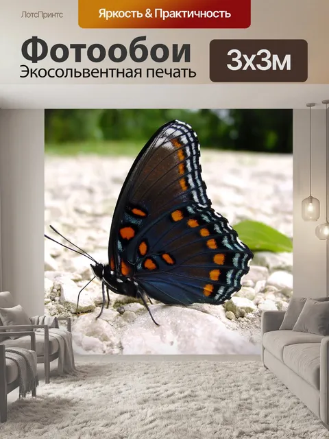 Фотообои С красными пятнами